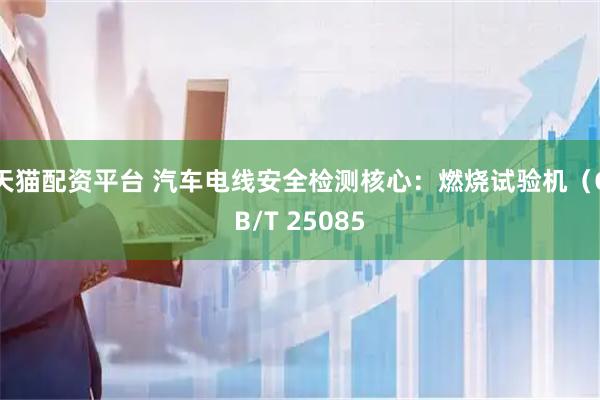 天猫配资平台 汽车电线安全检测核心：燃烧试验机（GB/T 25085