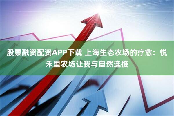 股票融资配资APP下载 上海生态农场的疗愈：悦禾里农场让我与自然连接
